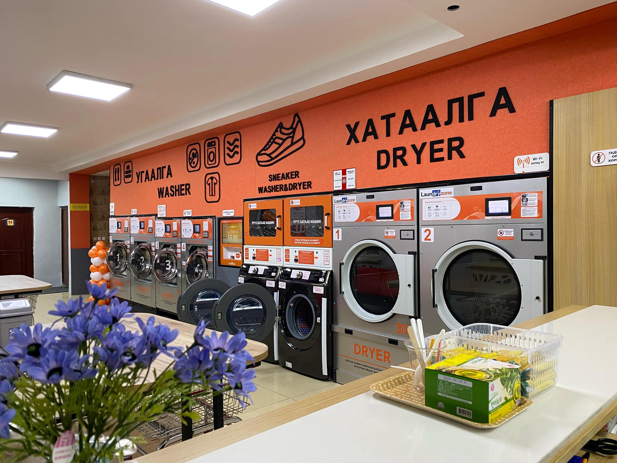 Хайлааст